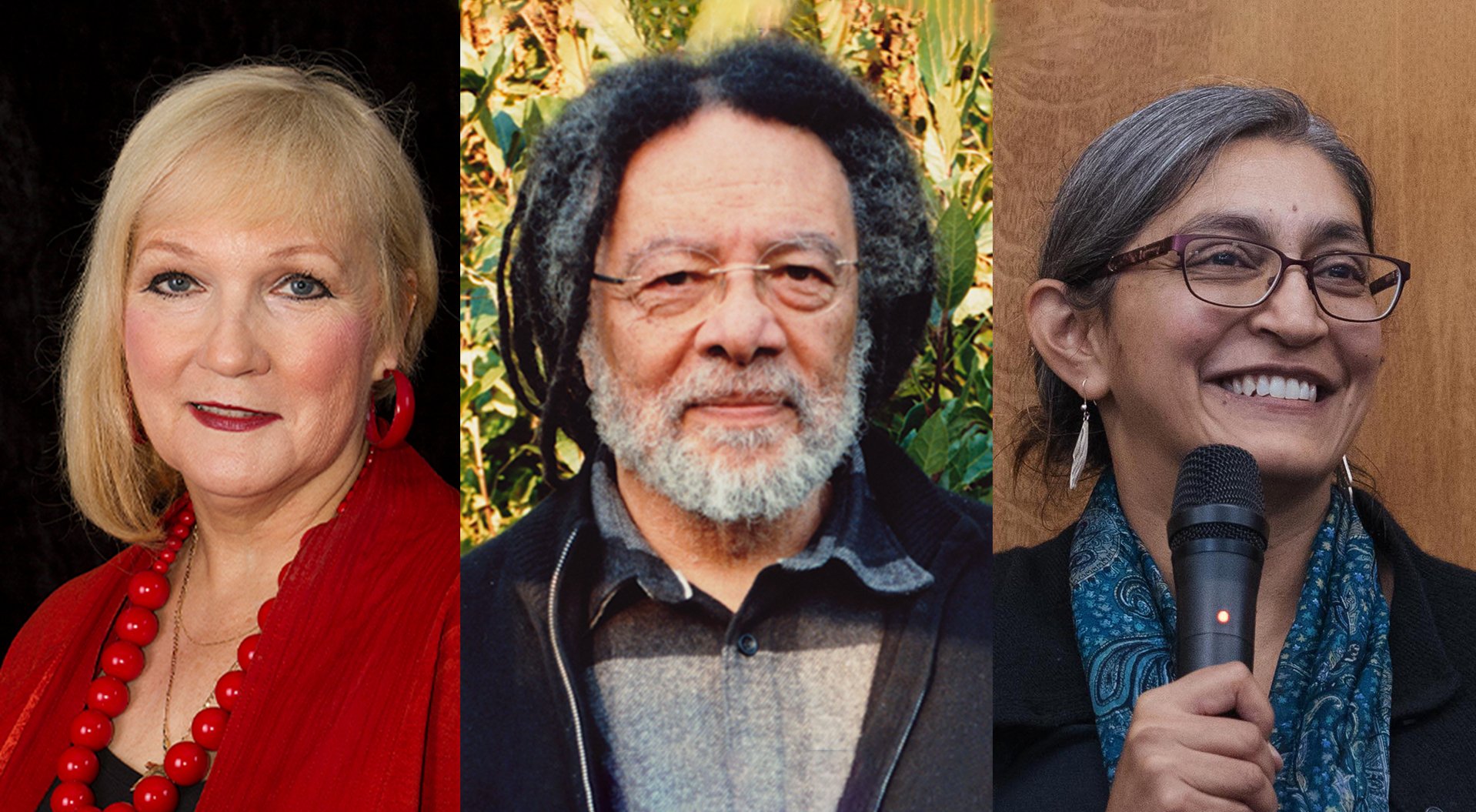 Picture of Global Polycrisis and the Powers of Narrative: The Role of Academia, Art, and Public Intellectuals